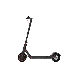 Fashionable electric scooter for adult 36v 6.6Ah floding 350w scooter with display and LED light