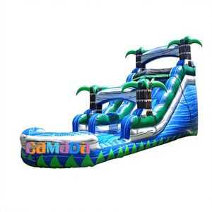 Castillo Inflable de PVC con Tobogán de Agua, Piscina, Color y Tamaño Personalizables, Precio al por Mayor, para Uso en Casa, Escuela y Exteriores - Product Image 1
