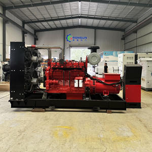 Grupo Electrógeno de Gas Natural y Biogás de 300kw con Motor Cummins de Alta Productividad - Product Image 1