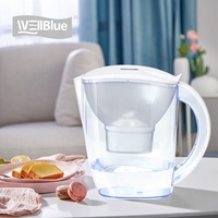 Pichet Purificateur d'Eau Manuel Domestique en Plastique, Alcalin, avec Système de Filtration à 6 Étages au Charbon Actif et Ioniseur