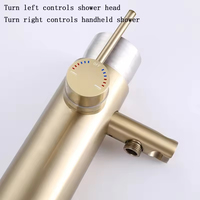 Robinet de douche extérieur FEIDU en acier inoxydable à poignée unique, eau chaude et froide, pour piscine et bain