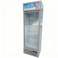 Refrigerador de Bebidas, Enfriador de Jugos, Refrigerador de Cerveza para Bar, Enfriador de Vino, Refrigerador de Doble Temperatura con Enfriamiento Mecánico por Aire
