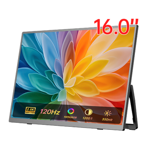 Oferta Diaria EIMIO OEM ODM Monitor Portátil para Juegos de 16 Pulgadas 2.5K, Pantalla Externa para Computadora Ultra Delgada - Product Image 1