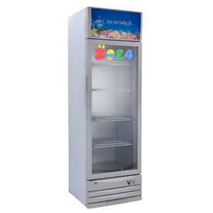 비용 효과적인 유리 문 콜라 음료 맥주 펩시 디스플레이 냉장고 실행 태양계 268 리터 에너지 절약