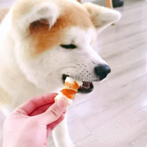 סיטונאי כלב בריא חתול פינוקים ומזון הסרת ריח רע מהפה קשר עור גולמי לבן תאום על ידי חטיפי חיות מחמד עוף - Product Image 2