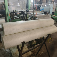 Rouleaux de Maille de Fibre de Verre Résistante aux Alcalis Certifiés CE pour le Plâtre et le Enduit en UE, 4*4 160Gr Maille de Fibre de Verre