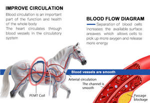 Bucle PEMF para Caballos, Fisioterapia, Magnetoterapia para el Tratamiento, la Recuperación y la Asistencia con la Fatiga Muscular - Product Image 5