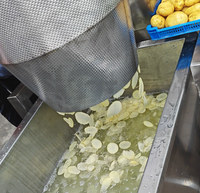 Multifunctionele groentesnijder van roestvrij staal voor het maken van aardappelchips en frieten voor de voedingsindustrie