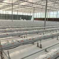 Serre hydroponique commerciale moderne pour légumes verts, système d'agriculture verticale NFT automatisé en A-frame, structure en acier léger pour laitue