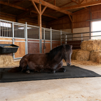 Matelas de box pour chevaux, en caoutchouc et mousse, pour box et écurie