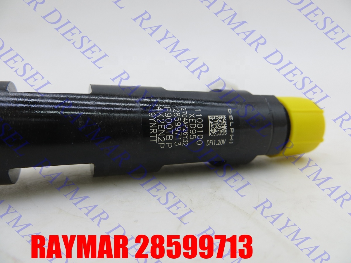 High Quality Common Rail Fuel Injector 28599713 1100100XED95