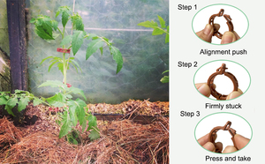 Clips de vigne en plastique brun durable pour les orchidées de soutien de <span class=keywords><strong>tomate</strong></span> cultures de serre équipement hydroponique treillis de plantes - Product Image 4