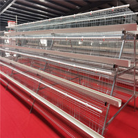 Cages à poules pondeuses personnalisées résistantes à la chaleur – Cage en batterie pour poules pondeuses