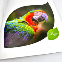 Folleto OEM, Papel de Arte, Encuadernación Perfecta, Cubierta Suave, Laminación de Película, Impresión Offset, Libro de Muestras