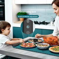 Plateau chauffant électrique en silicone, chauffe-aliments pliable, tapis chauffant enroulable, plaque chauffante extra-large à température constante