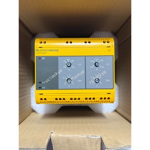 Détecteur d'isolation BENDER VMD258 NEUF Fabriqué en Chine - Product Image 3