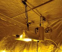 Lámpara de Cultivo Gavita Pro de 1000w 480V 0-10V Regulable de Doble Extremo HPS para Invernadero con Balasto Electrónico