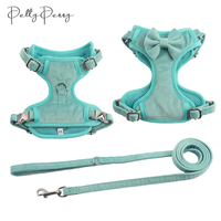 2024 Set Harness Anjing khusus sublimasi dapat disesuaikan Harness anjing beludru Valentine untuk anjing kecil