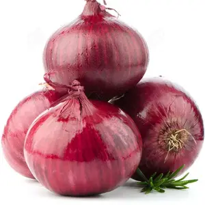 High Nutritional Value With WholesaleWith Chinese New Fresh Low Price Onion