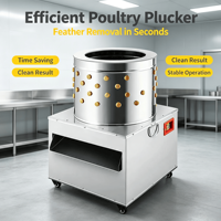 Meilleur Prix Nouvelle Machine Commerciale XIFA Industrielle à Plumer les Poulets et Cailles, Déménueuse de Plumes à Haute Productivité avec Boîte de Vitesses à Roulements