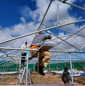 Grande serre agricole personnalisée Double système hydroponique intégré en PE pour la culture de fraises Serre en polycarbonate - Product Image 4