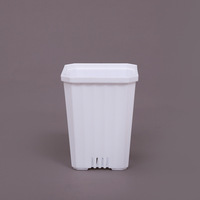 Vente en gros de pots de plantes en plastique 10*13CM, pots de pépinière transparents et colorés, petits pots carrés, pots de fleurs pour plantes succulentes de jardin