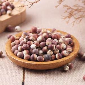 Tonique naturel Euryale Ferox directement de l'usine - pour le soutien du bien-être des reins et de la rate, faible MOQ et OEM - Product Image 2