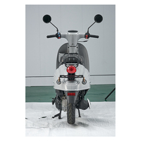 Nouveau Scooter à Essence 50CC 2026 avec Transmission à Variation Continue, Démarrage Électrique BOSCH et Structure Fiable
