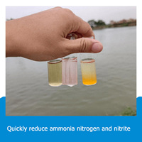 Formulation Microbienne Composée Concentrée Contenant des Souches de Bacillus 500g Réduit l'Ammoniac/Nitrite Purifie l'Eau Abaisse les Niveaux