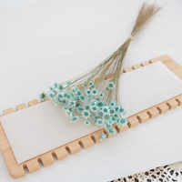 Fleur séchée brésilienne Little Star, mini marguerite étoilée séchée, Glixia naturelle pour arrangements floraux DIY