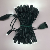 Factory Direct US Gauge IP65 Wasserdicht 5m 50 Lichter Outdoor Weihnachts baum Dekoration LED Lichterkette mit Dimmer
