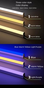 <span class=keywords><strong>Tube</strong></span> <span class=keywords><strong>LED</strong></span> orange, jaune, rose, violet, rouge, vert, bleu, 2FT, 4FT, T8, <span class=keywords><strong>T5</strong></span>, <span class=keywords><strong>tube</strong></span> de couleur RGB - Product Image 4