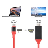 Câble HDTV USB-C 1m Type-C vers HDTV Cordon Adaptateur 1080P 4K USBC Convertisseur pour i-Phone 11 12 Samsung Mobile Phone Smart TV