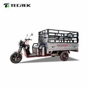 Tecrek รถสามล้อไฟฟ้าขนาดใหญ่สำหรับขนส่งรถสามล้อไฟฟ้า3ล้อบรรทุกของได้ - Product Image 3
