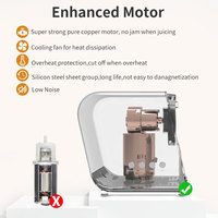 Slow Juicer met grote opening voor fruit, vertraagde persing, minder oxidatie, koudgeperste fruitsapmachine