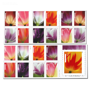 <span class=keywords><strong>Timbres</strong></span>-poste et étiquettes d'impression originaux, 20 <span class=keywords><strong>timbres</strong></span>-poste commémoratifs <span class=keywords><strong>2023</strong></span> Fleurs de tulipes, en papier, pour l'envoi américain - Product Image 4