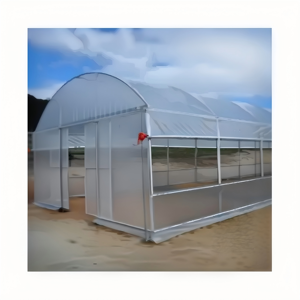 Serre tunnel agricole à structure en acier inoxydable, film plastique PE écologique, pour la culture de tomates, laitues et poivrons - Product Image 2