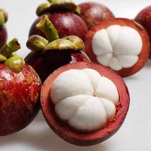 <span class=keywords><strong>Mangosteen</strong></span> Pericarp Bubuk Manggis Kering, Ekstrak Tumbuhan Manggis - Product Image 3