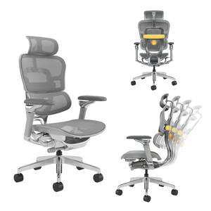 Nueva Silla de Oficina Ergonómica de Malla para Computadora, Silla de Escritorio Ejecutiva Premium de Aluminio Giratoria y Reclinable al por Mayor - Product Image 1