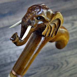Trendy <b>Walking</b> <b>Sticks</b> - Product Image 1