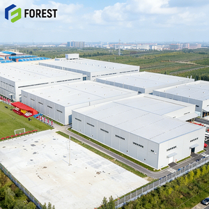 Taller de Estructura de Acero de Doble Capa con Protección Térmica Profesional Premium para Agricultura y Arquitectura en Hierro - Product Image 1