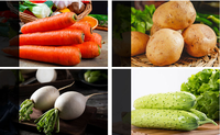 Accessoires de cuisine Veget Spiralizer Spiralizer rotatif manuel Usage domestique Cuisine Gadget pratique Outil