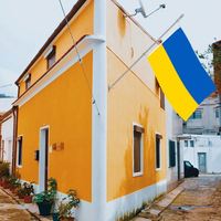 Drapeaux d'Ukraine en gros 3x5 pieds, polyester 68D/100D, personnalisation de tous les pays, expédition rapide, fournisseur fiable, livraison rapide