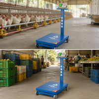 Báscula Electrónica Plegable Portátil de 120 kg a 300 kg con Pantalla LCD, Más Especificaciones Personalizables