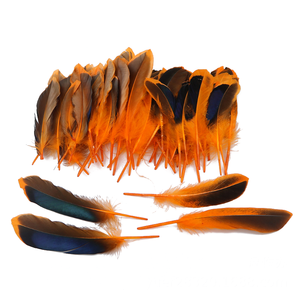 Teint naturel 50pc ploybag plume de canard pour bricolage artisanat cheveux Costume accessoire de pêche mouche attachant matériel ornement frange décor - Product Image 4