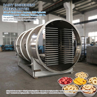 Industriële roestvrijstalen automatische vriesdroogmachinepomp FFD-50, grootschalige vacuümfrydrooginstallatie voor commerciële voedingsmiddelen en fruit