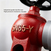 Hydrants d'incendie intérieurs durables et économiques sur mesure pour bâtiments commerciaux – Vente en gros