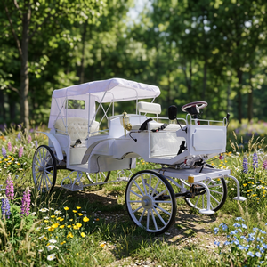 Charrette de Mariage Blanche de Luxe à Prix de Gros, Électrique et Tirée par des Chevaux, pour Visites Touristiques, à Vendre - Product Image 1