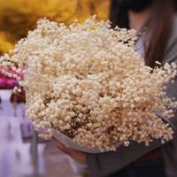 PPF03 Babysbreath 2024 Mini Gypsophila Elegan fleurs blanches roses conservées pour les mariages fête des mères noël saint valentin
