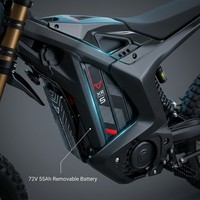 Moto électrique Arctic Leopard Clouded Leopard XE Pro L1E 72V 55Ah 600Nm NFC TFT App Off-Road pour adultes Fournisseur 2026